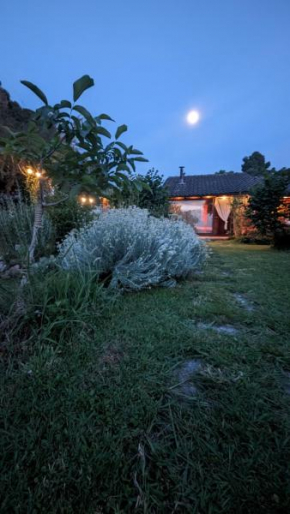 Chalet sul Trasimeno Magione